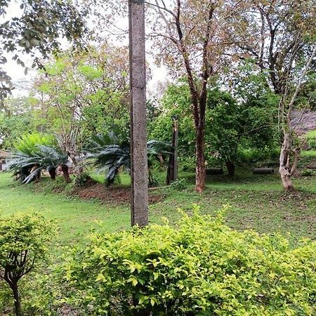 Aligama Cottage Talakolawela Dış mekan fotoğraf