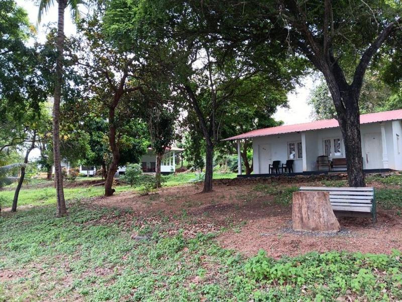 Aligama Cottage Talakolawela Dış mekan fotoğraf