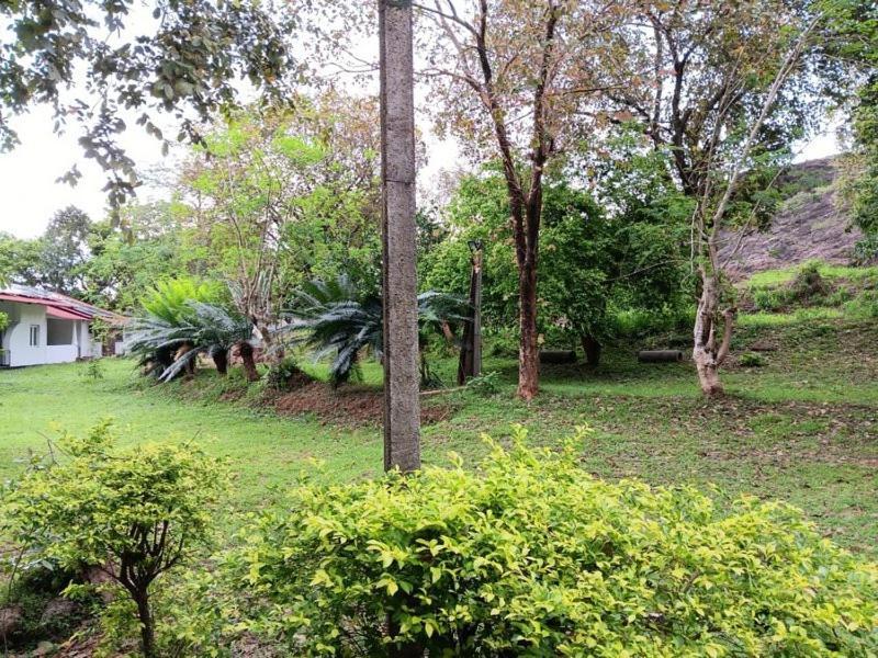 Aligama Cottage Talakolawela Dış mekan fotoğraf